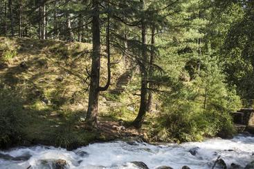 استراحتگاه Zone Connect Manali