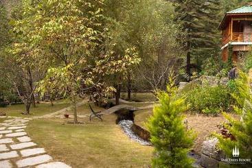 استراحتگاه Zone Connect Manali