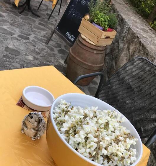 B&b La Casa Del Riccio