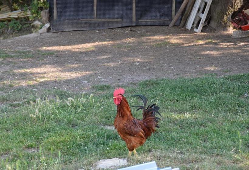 住宿加早餐 Campo Della Corte