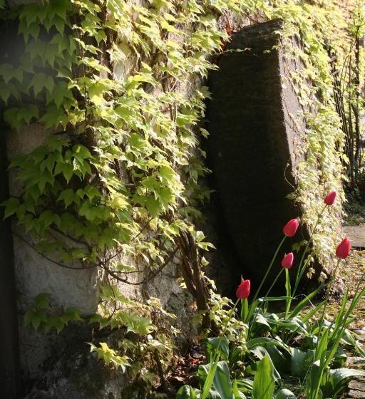 민박 La Maison Lion