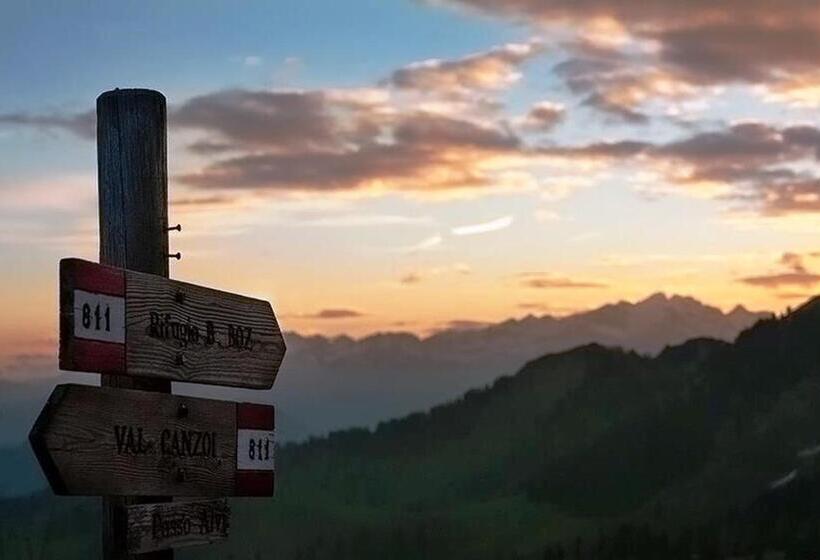 민박 La Maison Lion