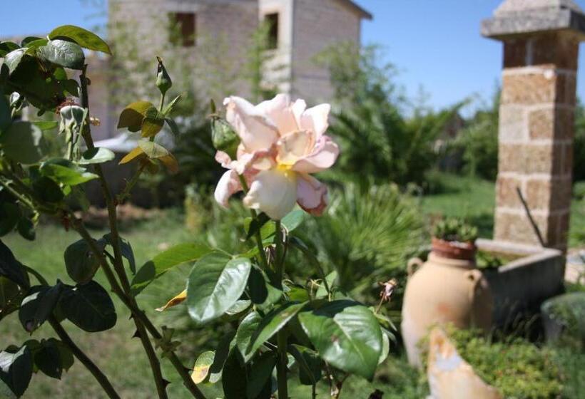 Bed and Breakfast Villa Padula