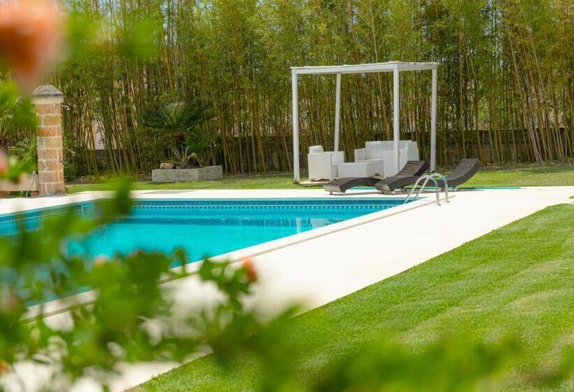 Bed and Breakfast Villa Padula