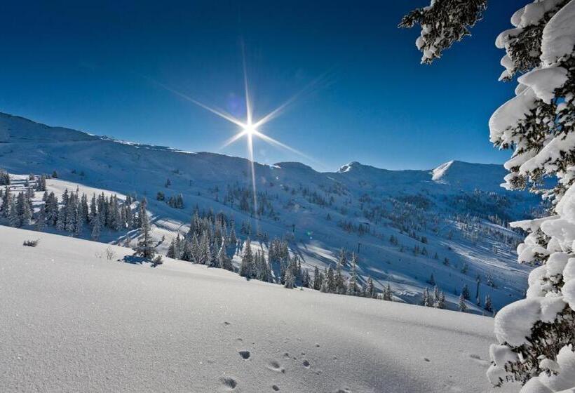 فندق Alpengasthof Grimmingblick