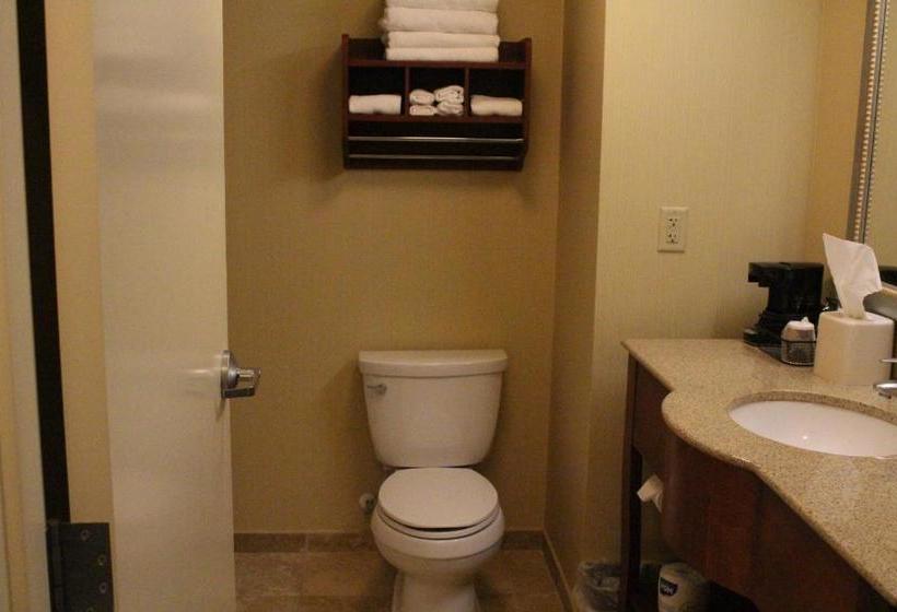 酒店 Hampton Inn Gretna