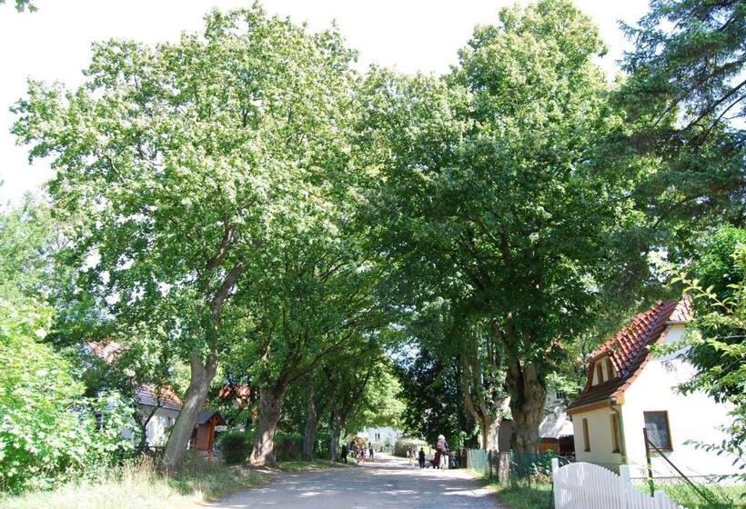 فندق Hiddensee Hitthim