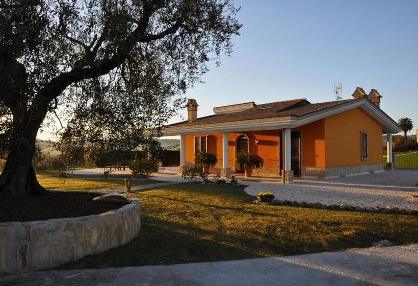B&b Agrifoglio
