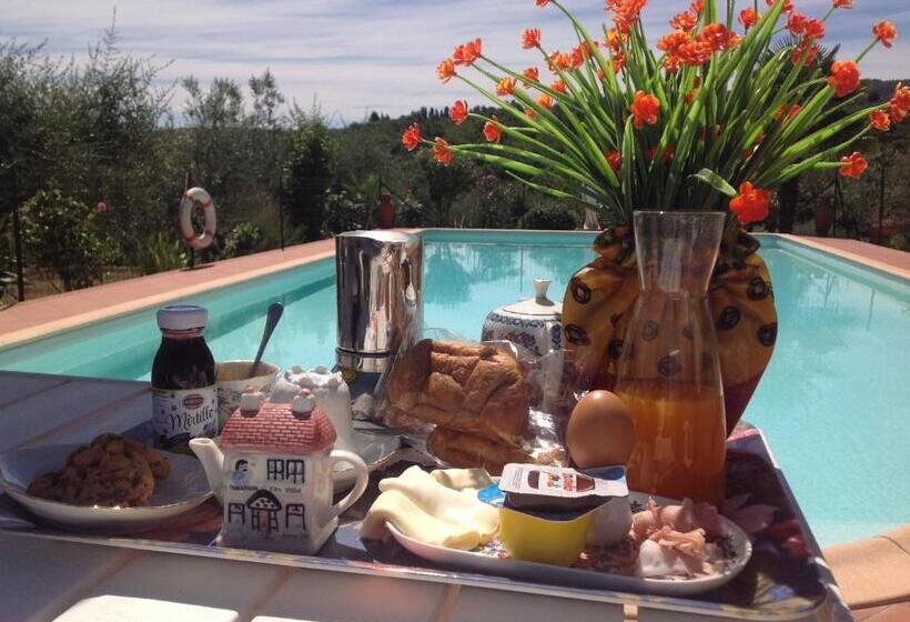 Bed and Breakfast La Vecchia Quercia