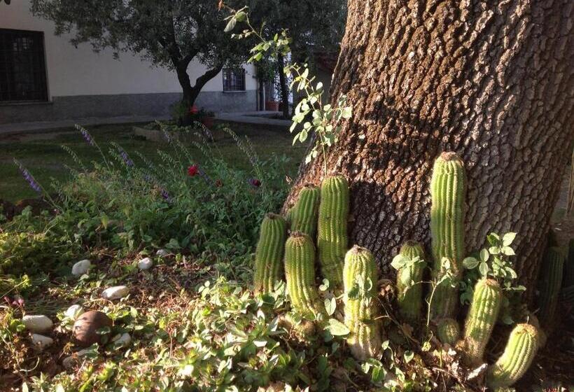Bed and Breakfast La Vecchia Quercia