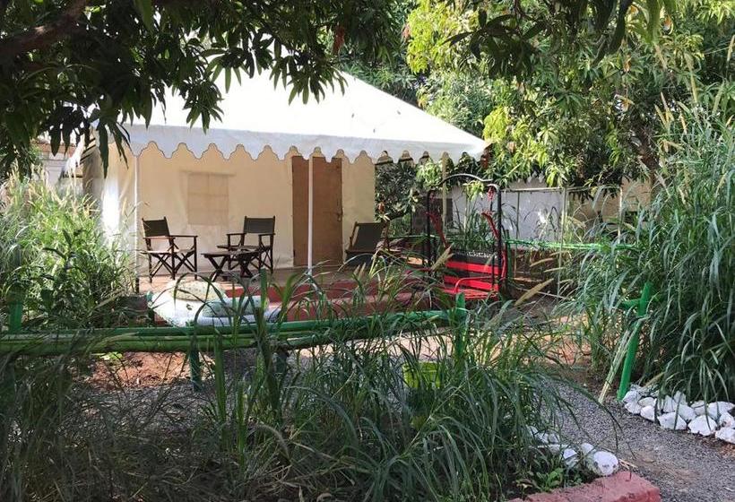 Gir Pride Resort