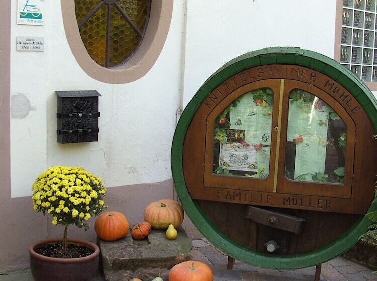 Landhotel Garni Knittelsheimer Mühle