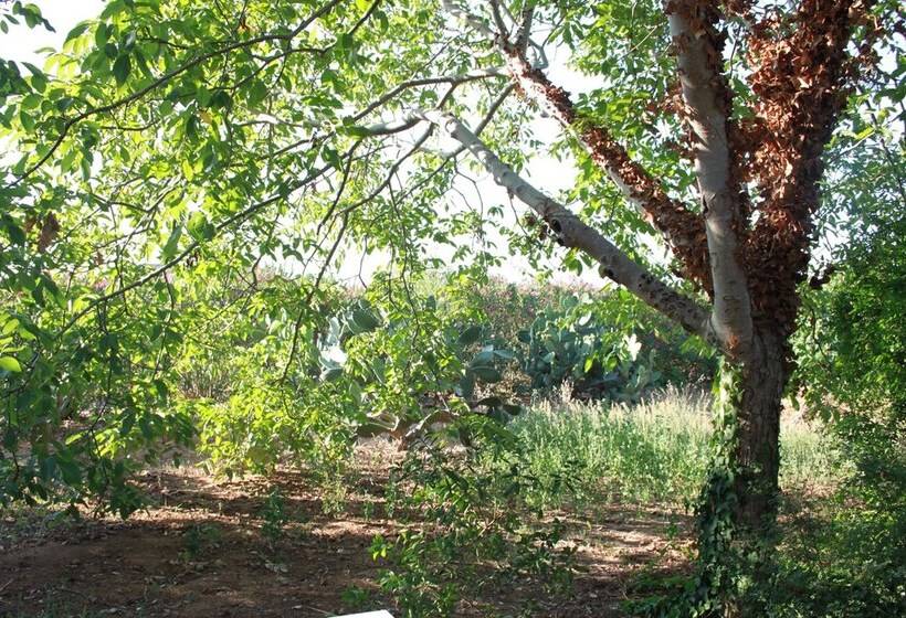 Bed and Breakfast Kalinifta   Io Parto Io Arrivo