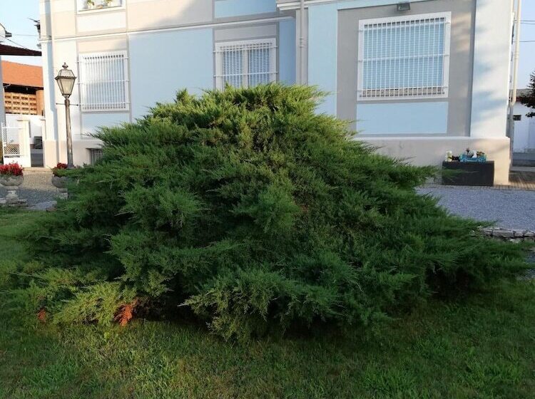 Bed and Breakfast Villa Ceirano