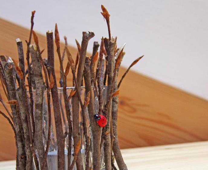 צימר Le Castagne Matte