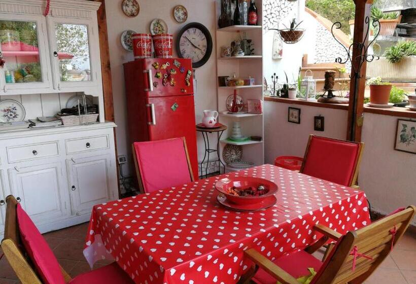 مبيت وإفطار The Incantation Guest House