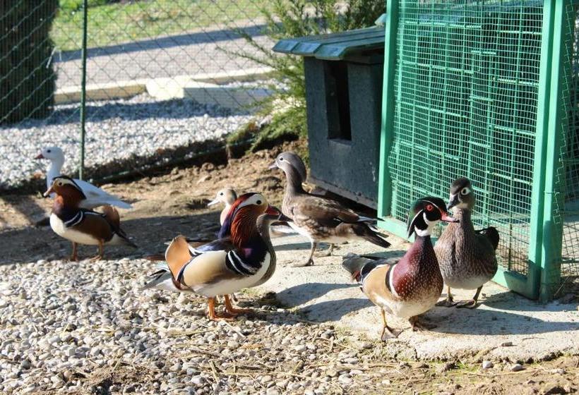 Feudi Enchestre B&b Agropoli