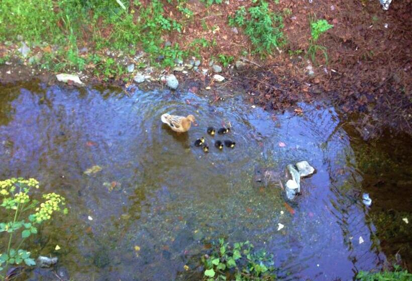 مبيت وإفطار Rosmarino