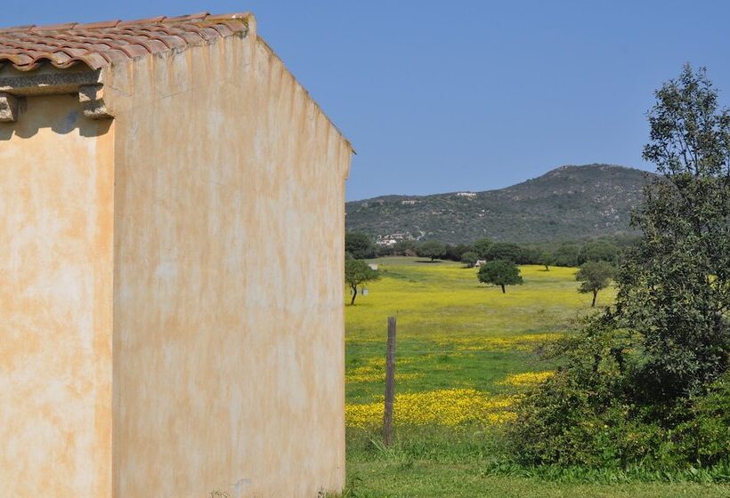 B&b Pubulos