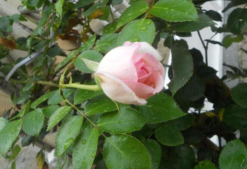 צימר Beb Villa Aurora