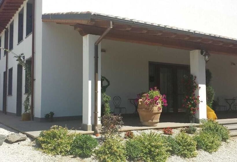 Bed and Breakfast Forum Cassii