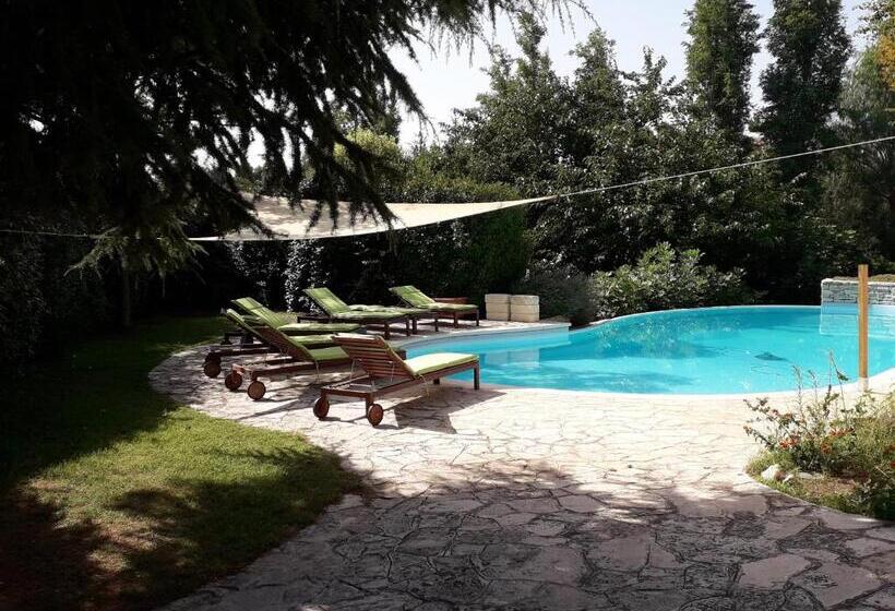 تختخواب و صبحانه Maglioferro Residence