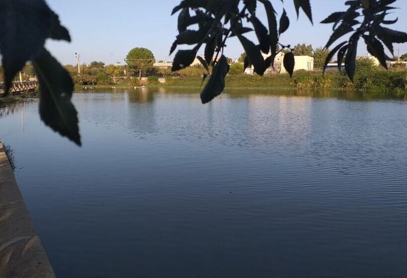 تختخواب و صبحانه Agriturismo Masseria Alberotanza