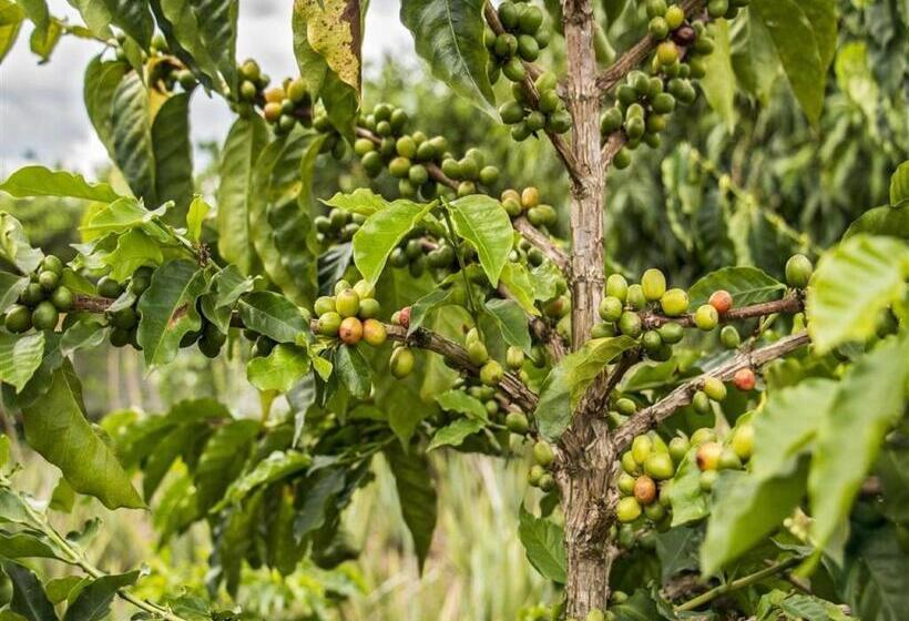 هتل Arrayanes Del Quindío