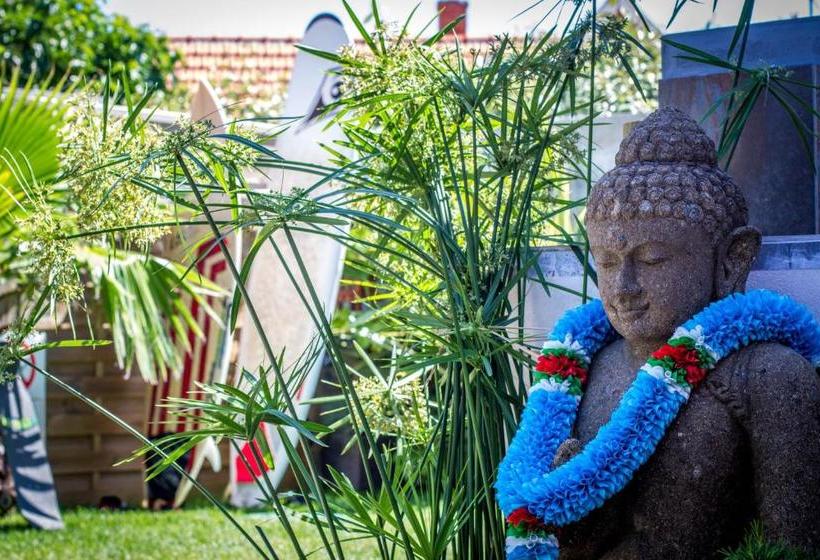 Villa Zenith Hostel La Surf House