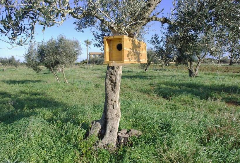 مبيت وإفطار Masseria Galatea Agriturismo