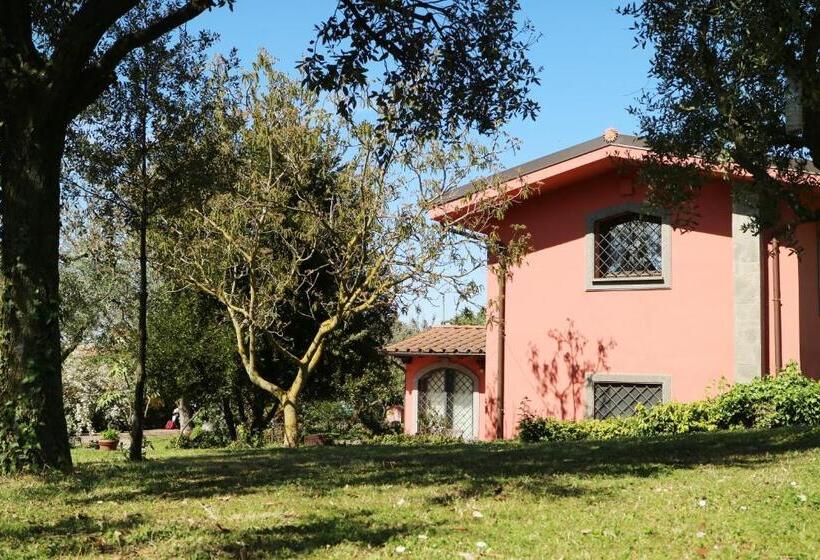 B&b Ai Glicini   Castelli Romani