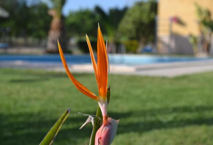 Villa Adriana B&b