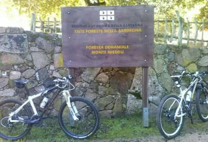 B&b Il Vigneto