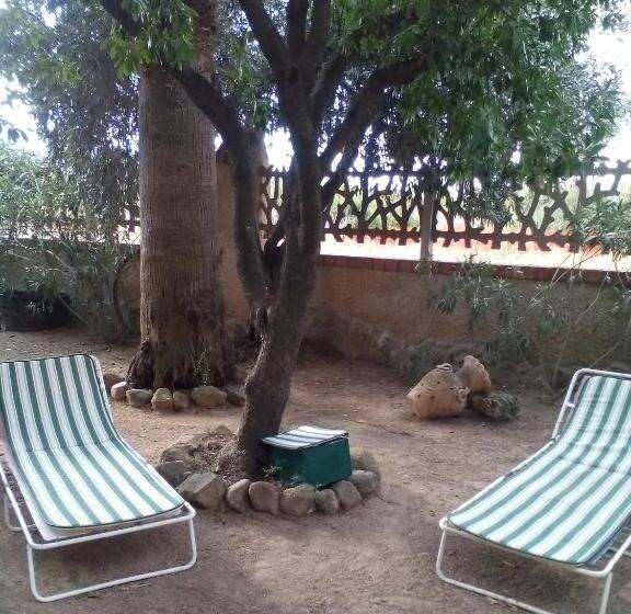 B&b Il Vigneto
