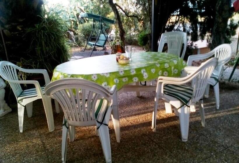 B&b Il Vigneto