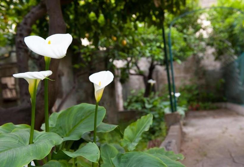 민박 Bed&breakfast Annapaola