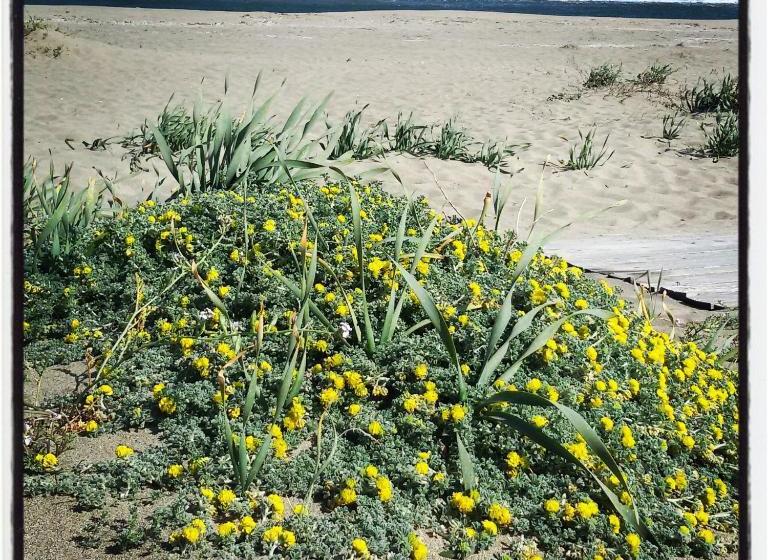 צימר Mirto E Mare