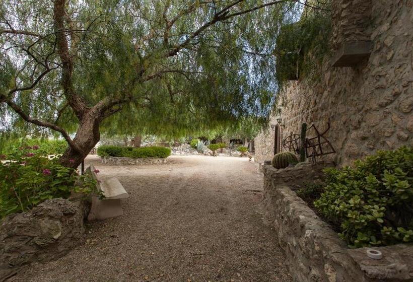 تختخواب و صبحانه Roba Degli Ulivi