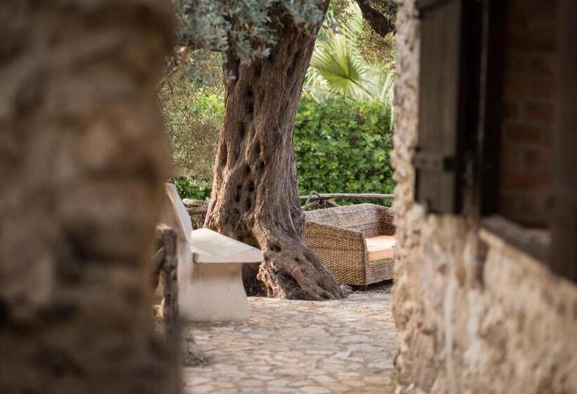 تختخواب و صبحانه Roba Degli Ulivi