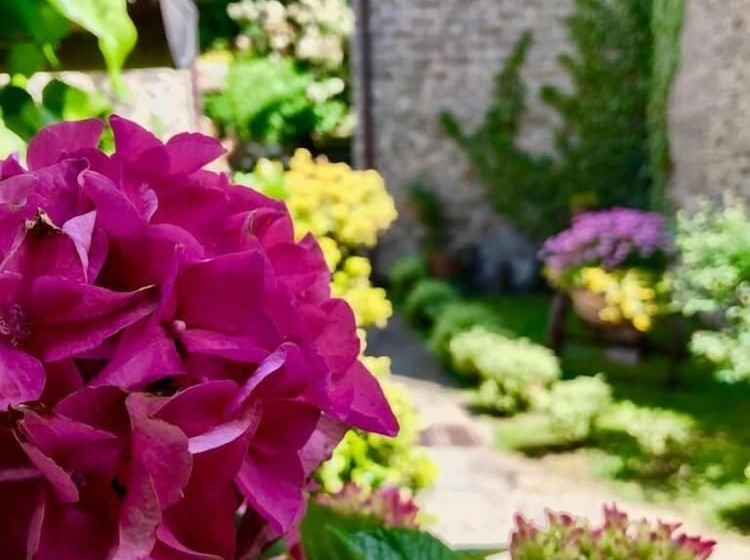 فندق Agriturismo Biologico Castello Della Pieve