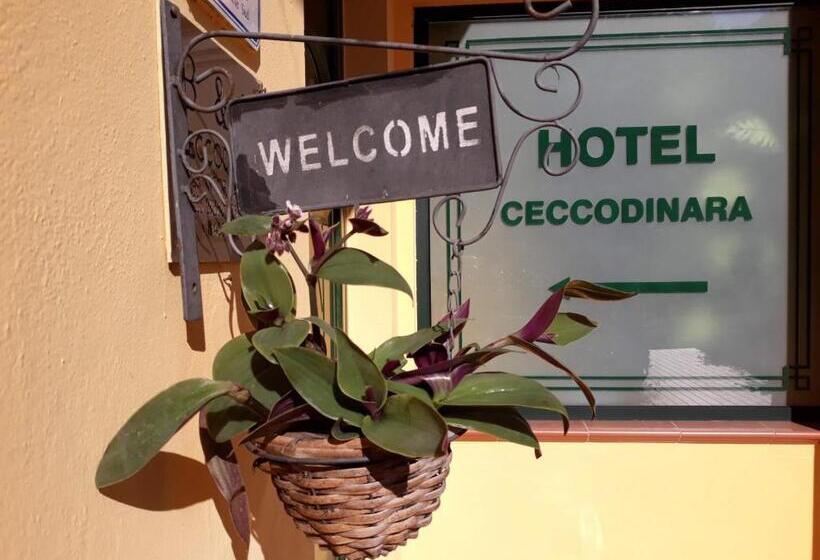 فندق Cecco Di Nara