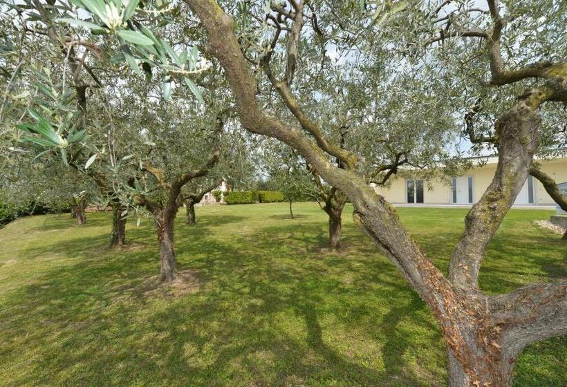 هتل Albergo Panoramica