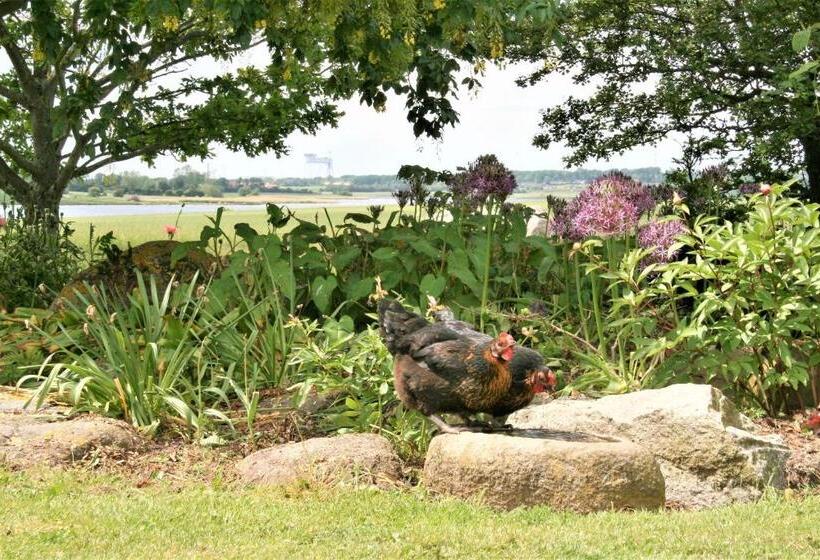 مبيت وإفطار Rødkærgård Bed&breakfast