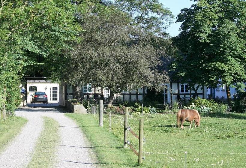 مبيت وإفطار Rødkærgård Bed&breakfast