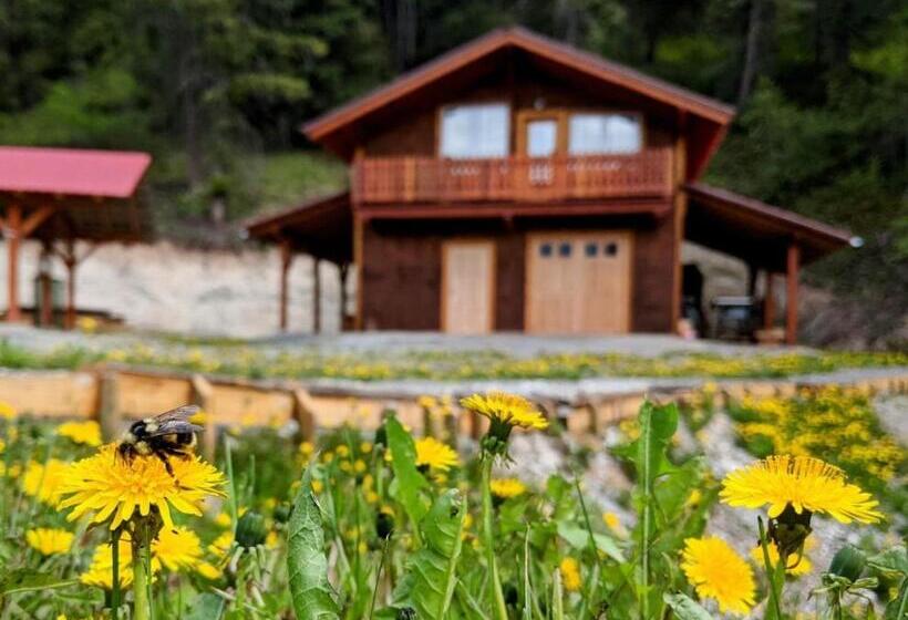 مبيت وإفطار Tschurtschenthaler Lodge