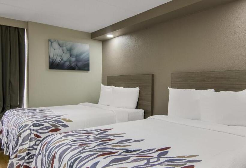 ホテル Red Roof Inn And Conference Center Chicago   N Aurora Naperville