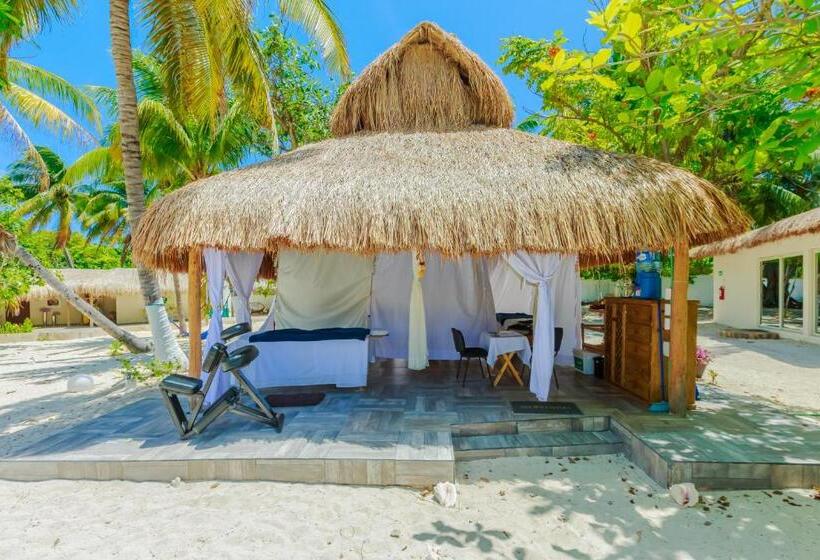 هتل Paradise Suites
