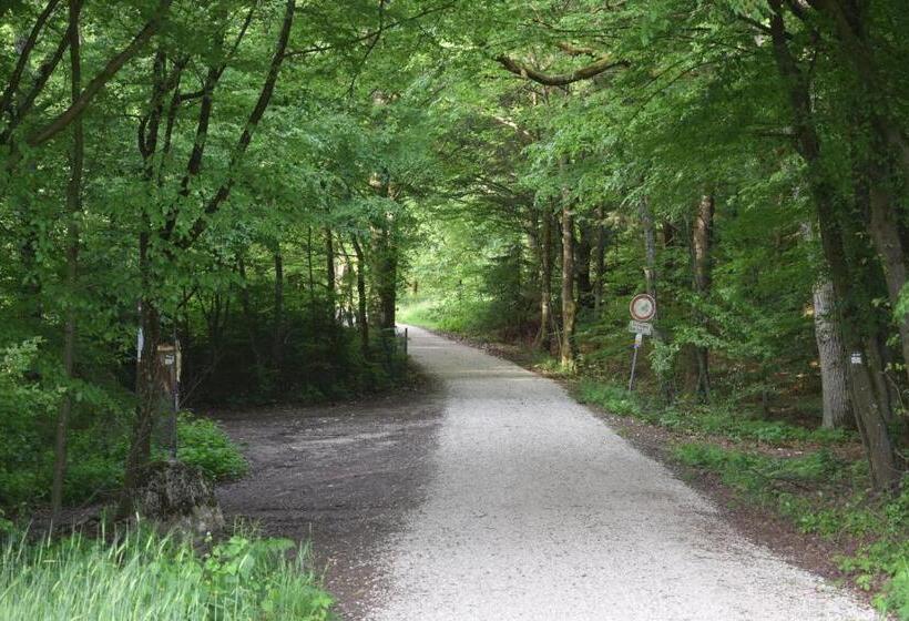 בית מלון כפרי Almrefugio