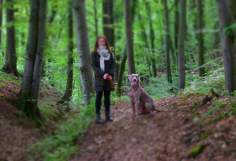 בית מלון כפרי Almrefugio