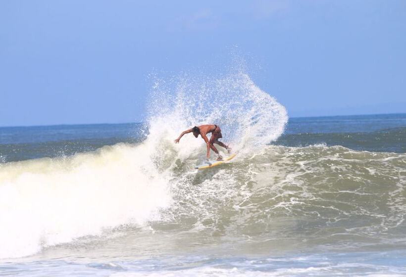 호텔 The Point Surfcamp Bali